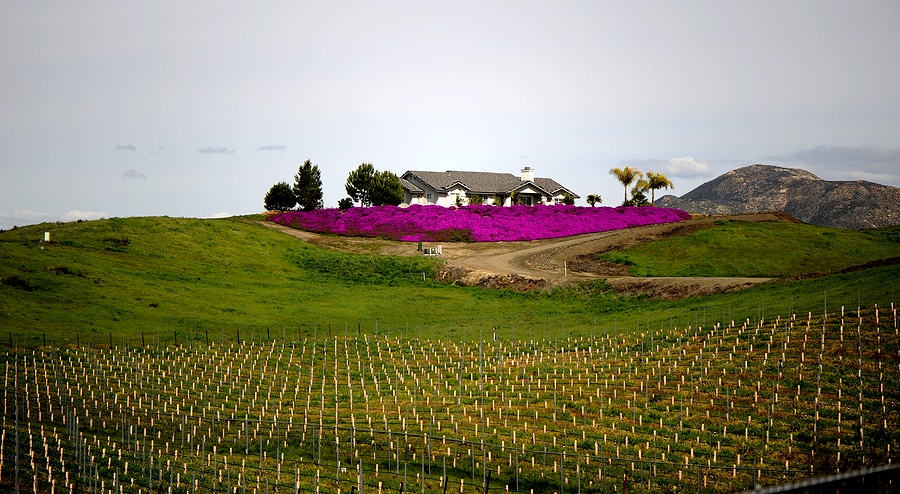 Weekend Getaways from San Diego: 4 Easy Road Trips